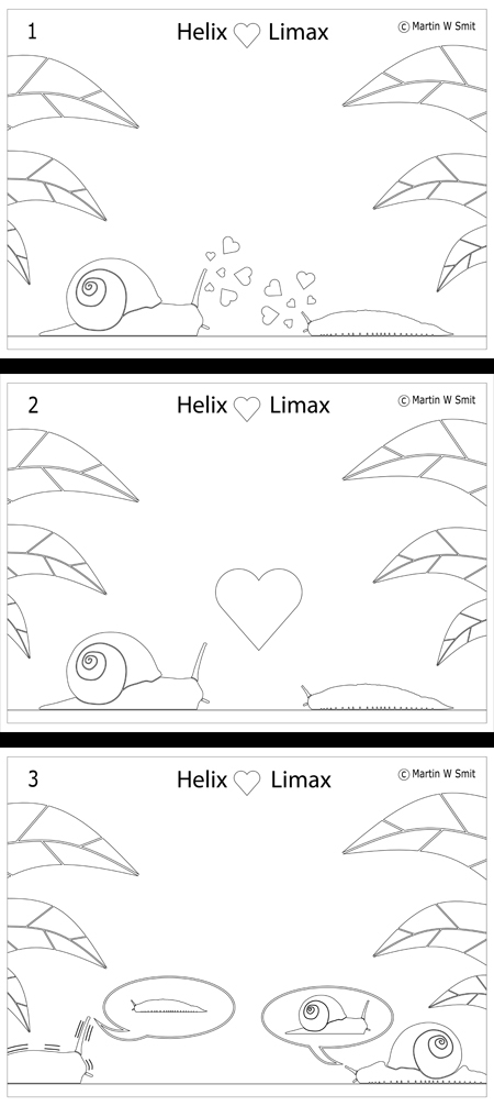 Helix e Limax  Una storia d'amore
